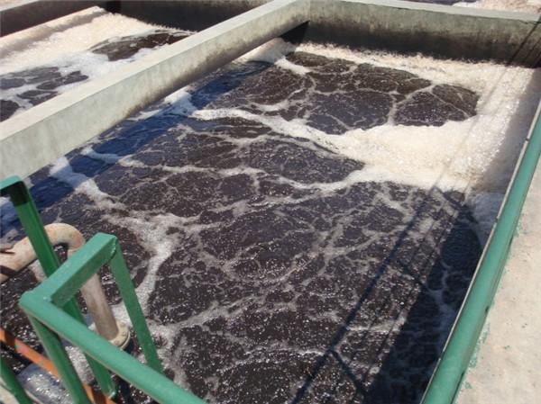 深圳水質(zhì)檢測公司 第三方 深圳水質(zhì)檢測公司 第三方