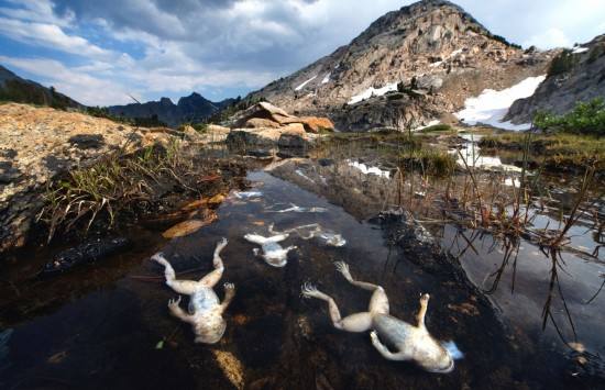 環(huán)境檢測(cè)機(jī)構(gòu)