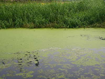 深圳水質(zhì)檢測(cè) 深圳水質(zhì)檢測(cè)