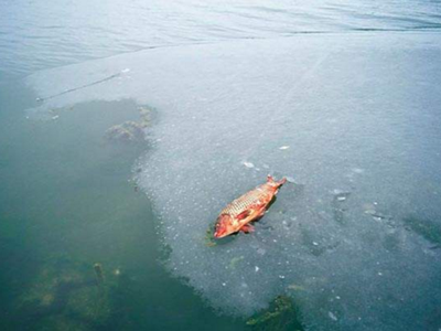 深圳水質(zhì)檢測(cè) 深圳水質(zhì)檢測(cè)