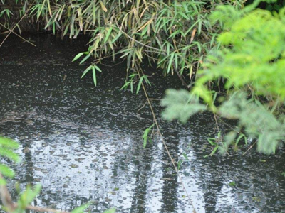 第三方水質(zhì)檢測公司 第三方水質(zhì)檢測公司